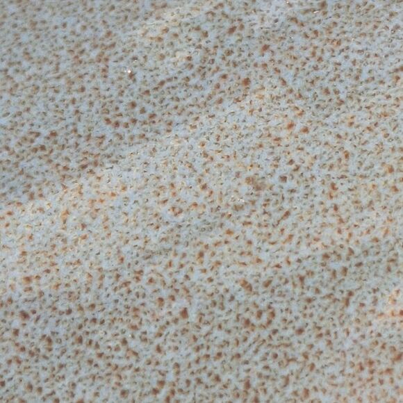 Owls On A Limb Mug for Owl Lovers Coffee Cup with Owls 16 oz Glazed Pottery - Picture 6 of 15